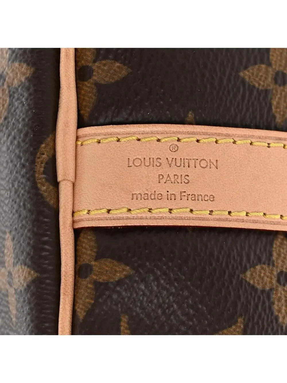 Louis Vuitton introducing louis
